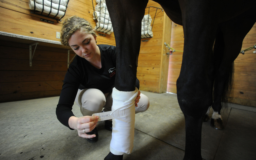 Department of Equine Science - Otterbein University