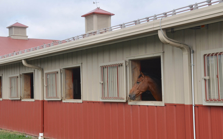 Department of Equine Science - Otterbein University